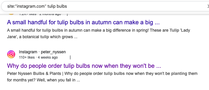 Using Google to Find Your Instagram Posts Example